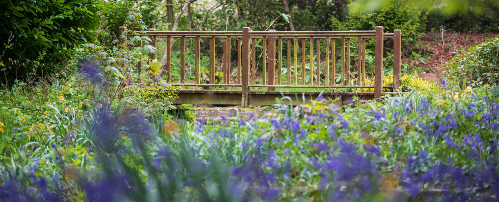 Bridge in Fircroft's garden