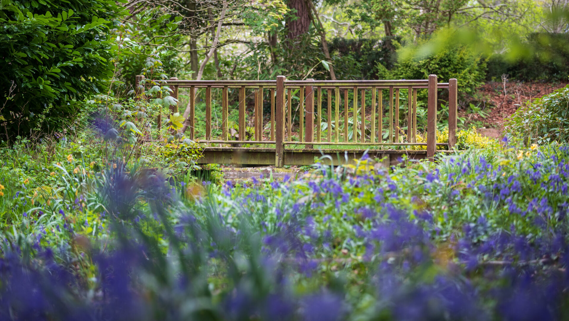 Bridge in Fircroft's garden