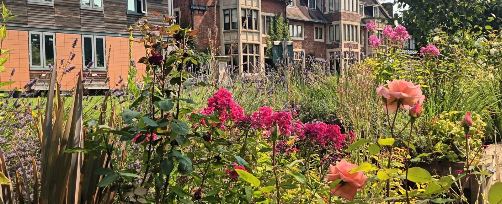Fircroft with rose garden